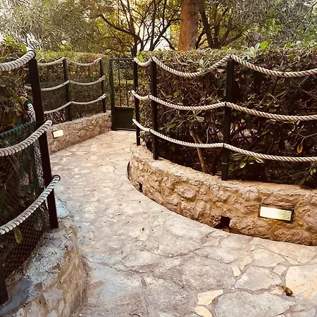 Garden Paradise *